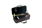 Pro-Tec PB 301 Standard trompet koffer